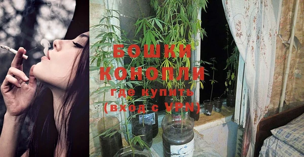 прущие крисы Анива
